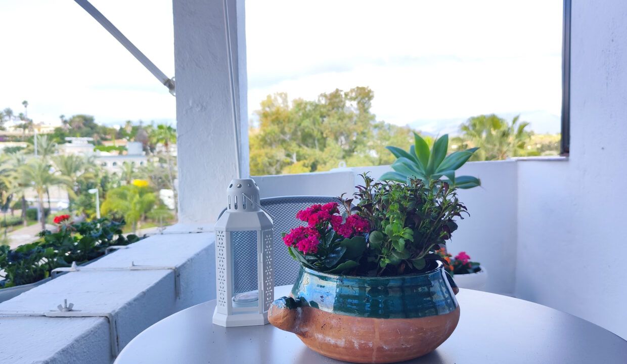 Jardines del Puerto (23)